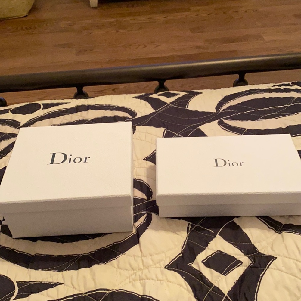 Christian Dior belt saddle bag.